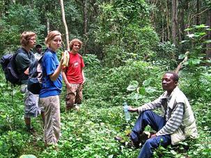 Ngurdoto Forest